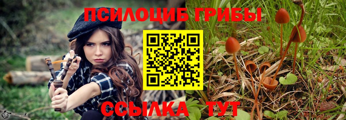 Псилоцибиновые грибы мухоморы  Вход с VPN  Балашиха 